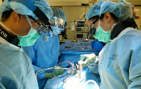 Female and male neurosurgeons working in OR